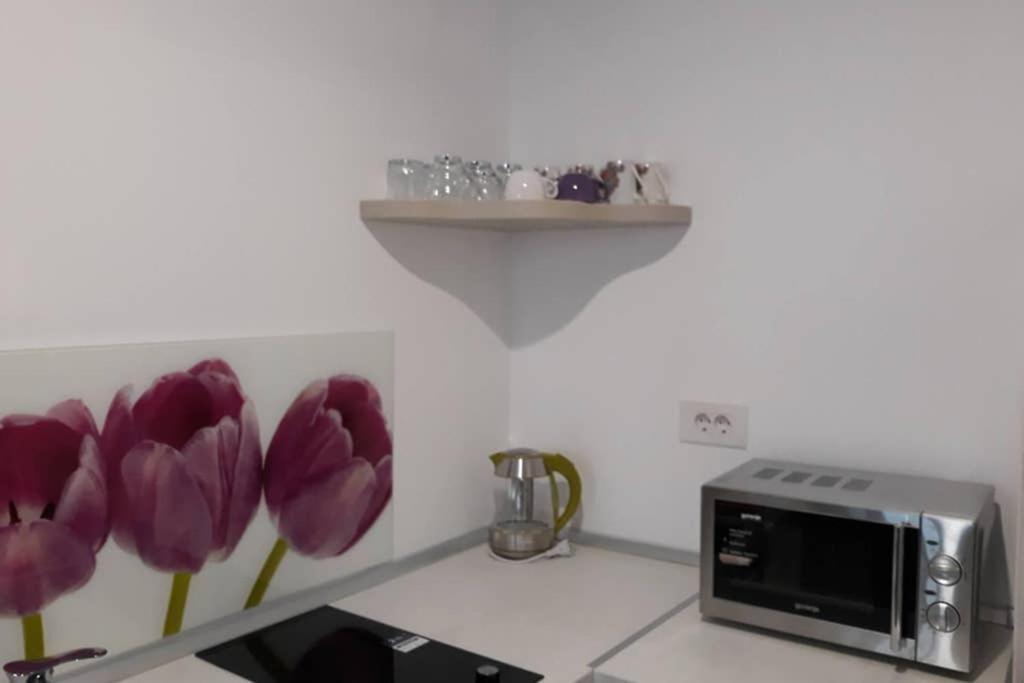 Zsizelle Rezidence Apartamento Braşov Exterior foto