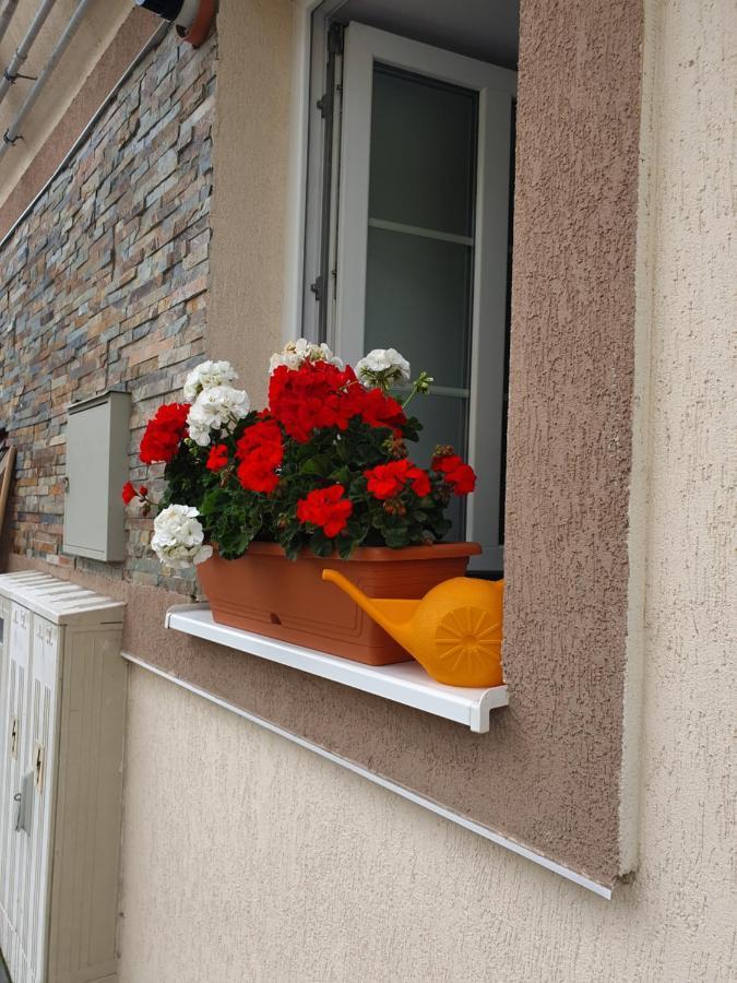 Zsizelle Rezidence Apartamento Braşov Exterior foto